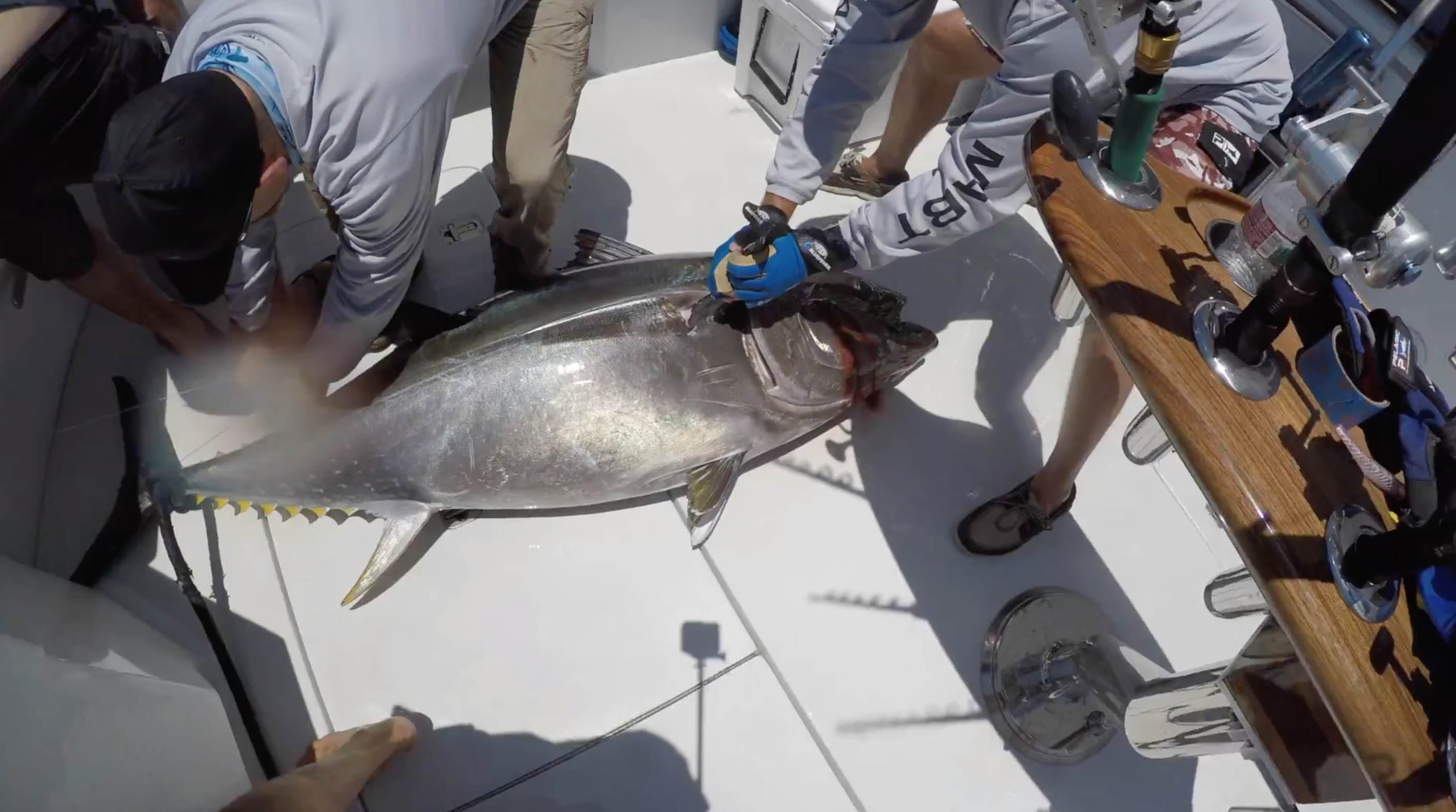 Luxury Fishing Yacht Charter - 60' Hatteras Sportfishing Yacht